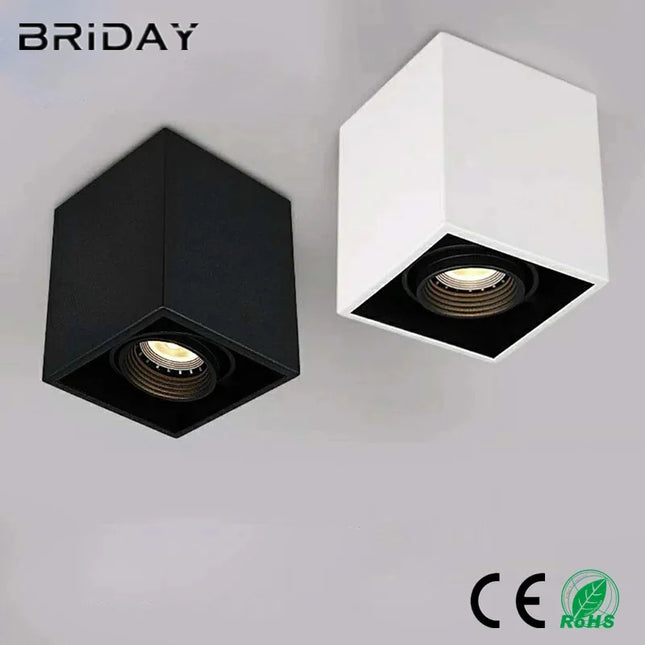 Plafonnier LED dimmable pour éclairage intérieur — LZ7XQ2