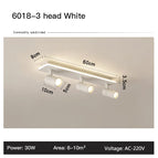 A-3 Head White / Warm Light
