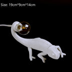 Style 1 / USB