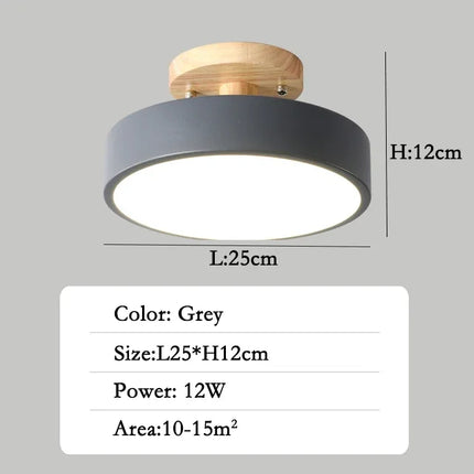 Plafonnier LED moderne et créatif pour décoration intérieure — LZ4F9X2