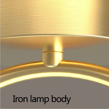 Plafonnier LED créatif polyvalent pour espaces de vie — LZ4X9T