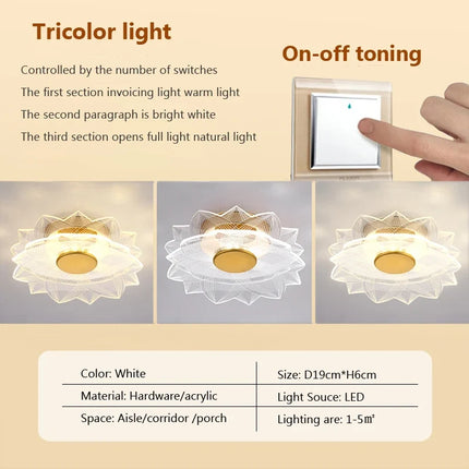 Plafonnier LED design en acrylique pour décoration intérieure — LZ4X9J