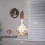 C / Ampoule Edison-5W