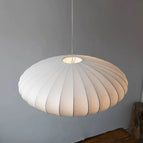 D30CM / Lumière neutre