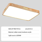 L95XW55cm / RC à intensité variable / 220V