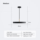 LPL124 Noir 30cm / Blanc chaud-Pas de RC