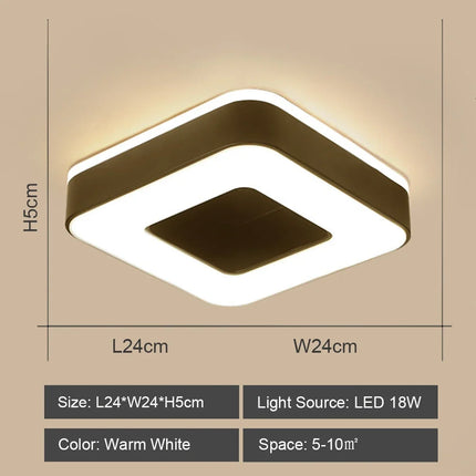 Plafonnier LED décoratif moderne pour intérieur et allée — LZ4X9P2