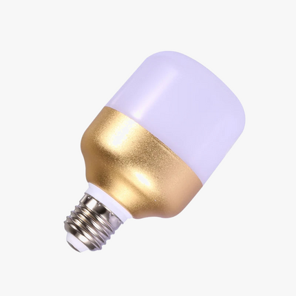 Ampoule LED pour projecteur plafonnier d’éclairage intérieur — LZ4X9M