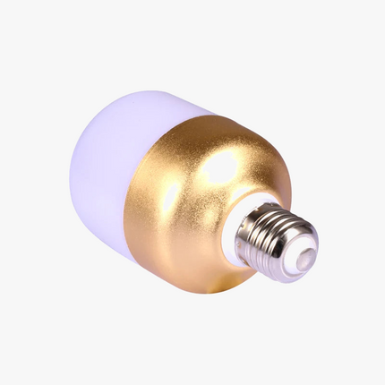 Ampoule LED pour projecteur plafonnier d’éclairage intérieur — LZ4X9M