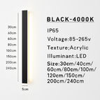 Lumière naturelle noire / L30cm
