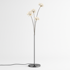 5 lampes / Froide