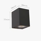 C 5W 1Tête / Blanc naturel 4000K