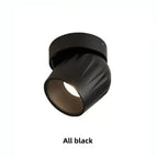 Blanc et noir / 4000K / 12 W à intensité variable.