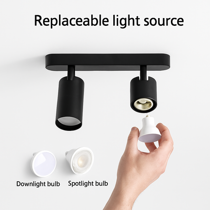 Plafonnier LED spot monté surface 2 ou 3 têtes COB — LZ4X9P