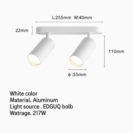 Plafonnier LED spot monté surface 2 ou 3 têtes COB — LZ4X9P