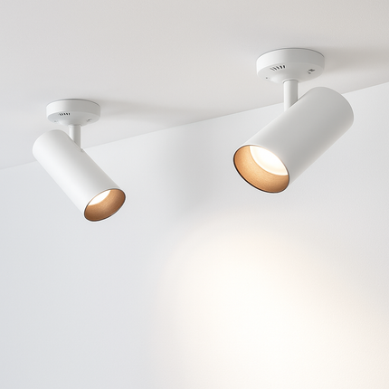 Plafonnier LED COB 10W-20W orientable et pivotant à 360° — LZ4X9T2