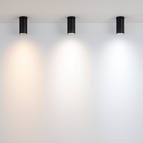 Blanc chaud / Noir 7W