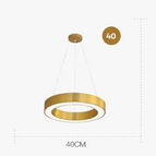 dia80cm 50w / Remote control light