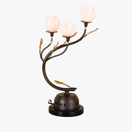 Lustre antique avec abat-jour tulipe en verre — LZ4X9P