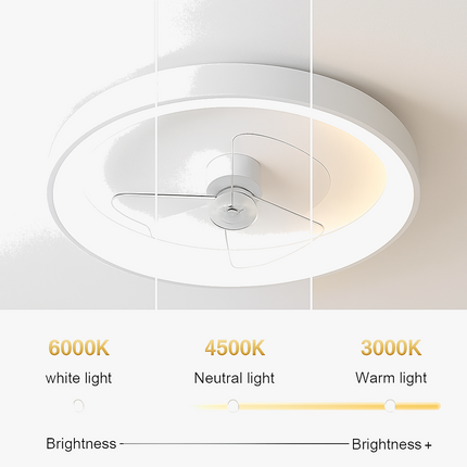 Lustre intelligent avec ventilateur intégré et télécommande — LZ4X9P