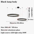 2 rings - D80 60cm / Dimming with Remote