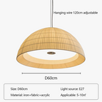D60cm / Lumière froide