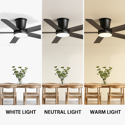 Lustre ventilateur silencieux avec télécommande pour confort optimal — LZ7XQ2