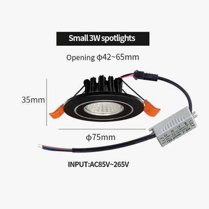 Spot LED mini encastré intérieur avec pilote intégré — LZ4X9P