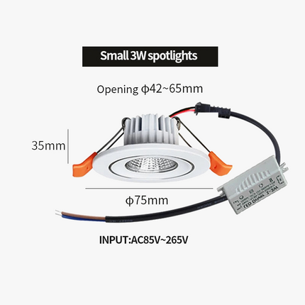 Spot LED mini encastré intérieur avec pilote intégré — LZ4X9P