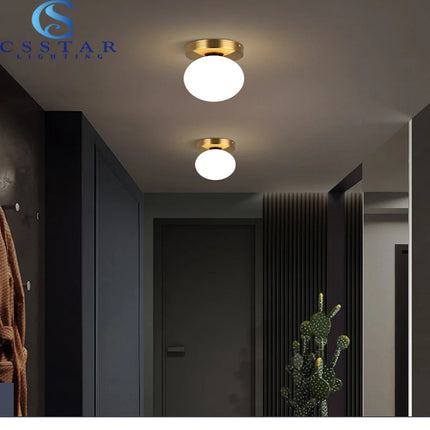 Plafonnier rond boule en verre LED pour salon et couloir — LZ4X9P