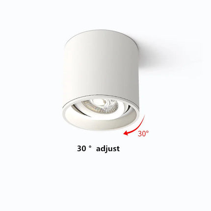 Spot LED cylindrique à intensité variable pour éclairage intérieur — LZ4G7Q9