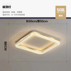 Rectangle Or-50cm / AC85-265V / Lumière Wram-3000K