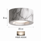 1 tête / Lumière neutre
