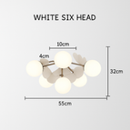 Six têtes blanches / Blanc chaud