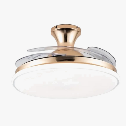 Plafonnier LED intelligent avec télécommande et éclairage discret — LZ4X9P2