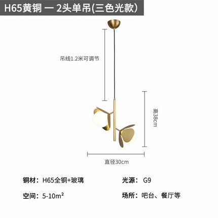 Plafonnier LED au design européen créatif et chaleureux — LZ4X9T1
