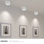 BLANC / 6W Noir dimmable