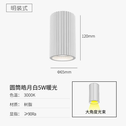 Plafonnier LED moderne pour intérieur et extérieur — LZ4D9X2