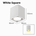 Carré Blanc / Gradation 220V 4000K