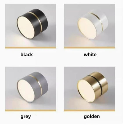 Plafonnier LED dimmable au design nordique moderne pour intérieur — LZ4X9P