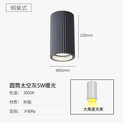 Plafonnier LED au design nordique pour salon et couloir — LZ4X9T2