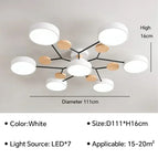 Blanc 5H / Lumière tricolore