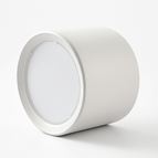 Blanc / Blanc chaud / 5W Dia8.5cn