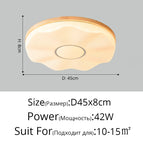 Style B D45x8cm 42W / Luminosité variable