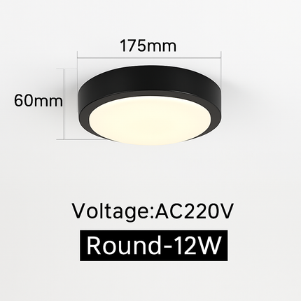 Plafonnier LED étanche pour extérieur, jardin et porche — LZ4X9M