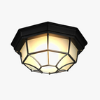 Noir grand / La lumière blanche / Induction
