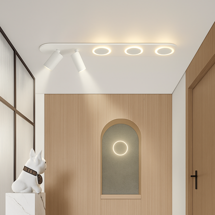 Plafonnier LED moderne avec spot orientable pour intérieur décoratif — LZ4X9T1