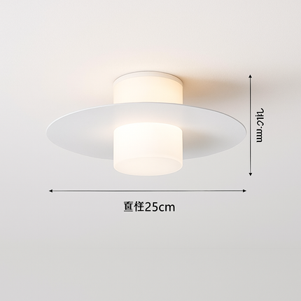 Plafonnier LED moderne pour couloir, allée et salon — LZ4X9T2