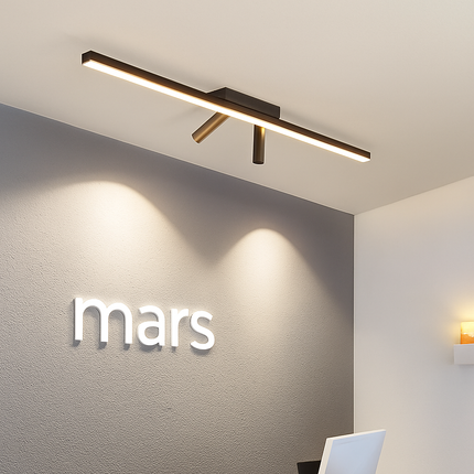 Plafonnier LED moderne polyvalent pour toutes pièces — LZ4X9M