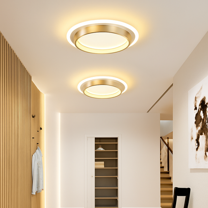 Plafonnier LED élégant pour éclairage intérieur moderne — LZ4X9P